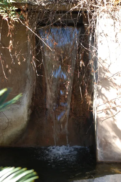 DSC_0083 (Large).JPG